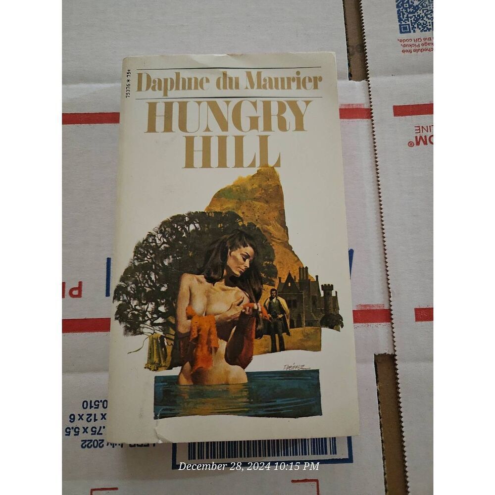 Hungry Hill by Daphne Du Maurier pocket books isbn 671753762075